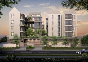 10 Evelyn 10号 伊芙琳