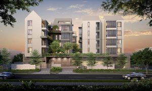 10 Evelyn 10号 伊芙琳